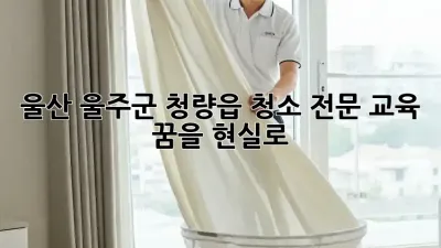 울산 울주군 청량읍 청소 전문 교육: 꿈을 현실로!